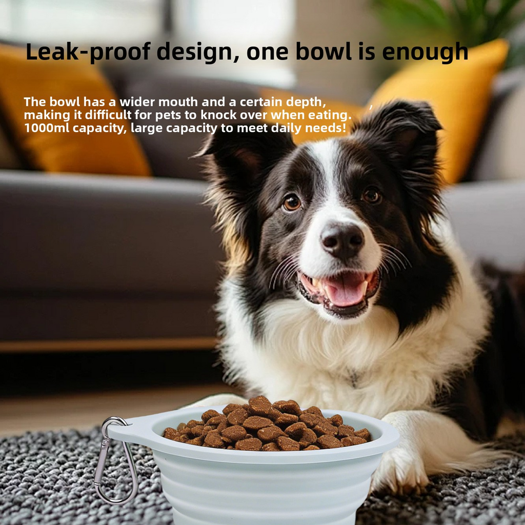 Portable Folding Silicone Pet Bowl