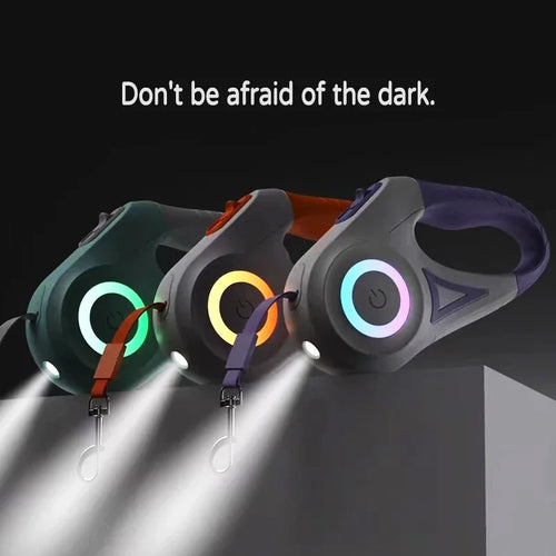 Bright Paws LED Leash